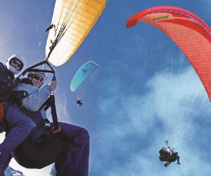 image-1.2_1-2